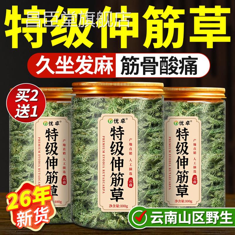 伸藤筋草中药材云南野生当季新货鸡血海风藤挂枝伸筋草官方旗舰店