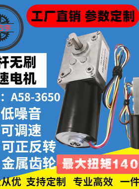 A5840-3650蜗杆直流齿轮减速电机正反转大扭矩带自锁功能24V马达