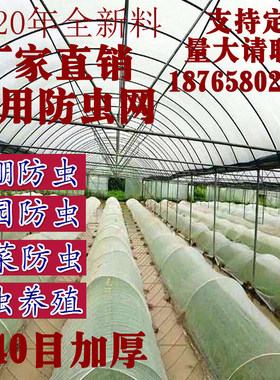 防虫网40目蔬菜水果大棚网罩连栋聚乙烯蚂蚱养殖脐橙草莓棚农用网