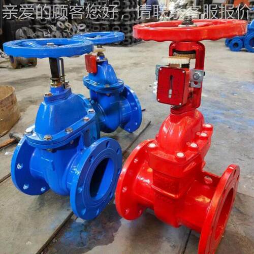阀售Z465TZ销-10Q Z45T-16Q球墨铸铁闸阀2Cr13杆闸DMAGA-102N5