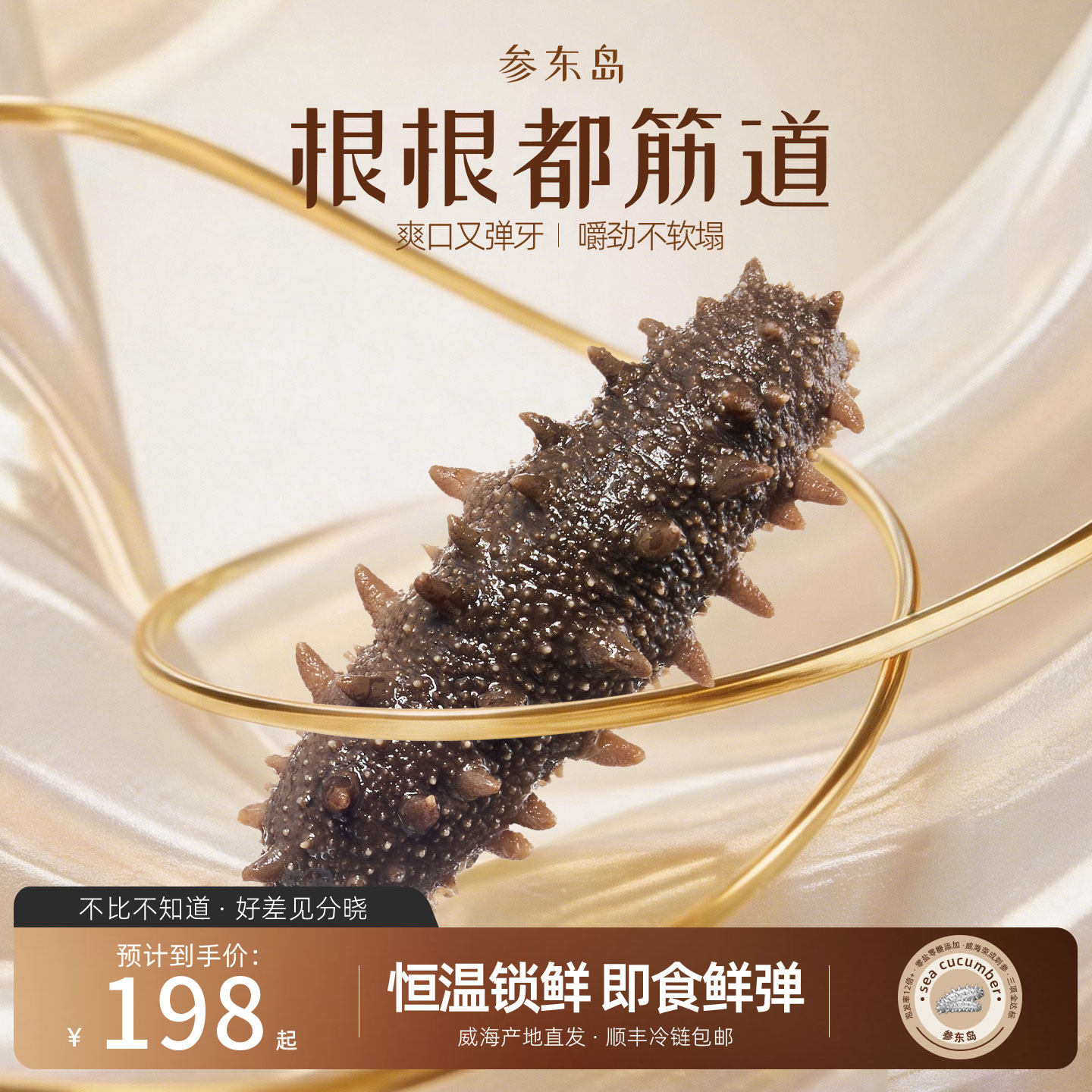 即食海参鲁参独立装潮间带海参