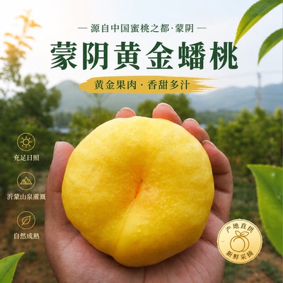 蒙阴黄金油蟠桃头茬彩虹油蟠桃