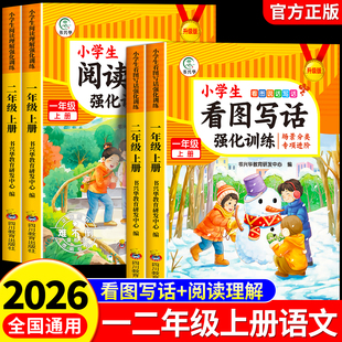 看图写话强化训练一年级二年级上下册人教版语文阅读理解素材积累书专项训练同步训练练习册看图说话每日一练小学生12上看图写作文