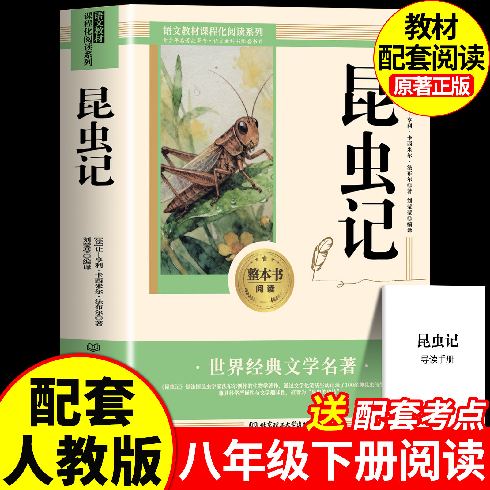 昆虫记 八年级必读书正版原著法布尔原版无删减完整版课外阅读书籍中学生初二8上下册语文配套人教版课外书目经典常谈名著小说