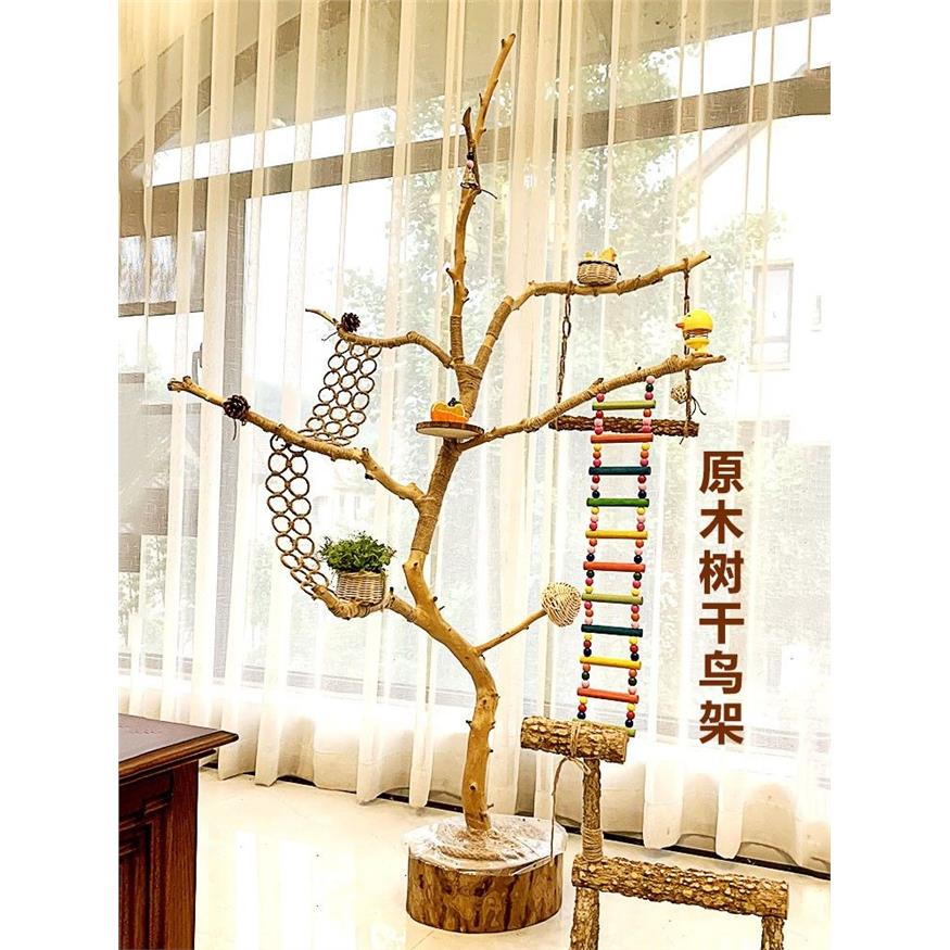 干树枝原木杈干鸟架造型
