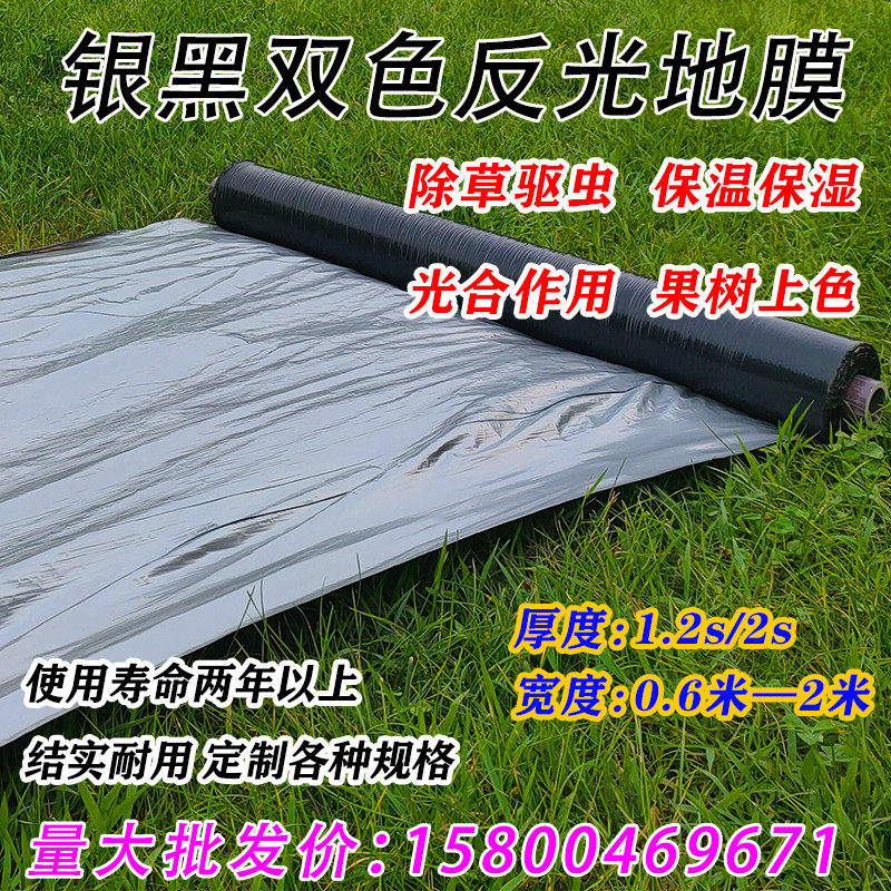 银黑地膜双色反光除草地膜农用黑白地膜保温保湿薄膜草莓蔬菜大棚