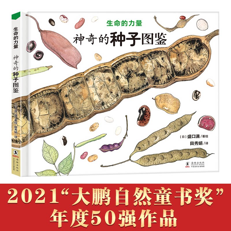 【正版】生命的力量:的种子图鉴(从一粒种子开始探索生命)丁虹绘本馆出品【3-6岁】
