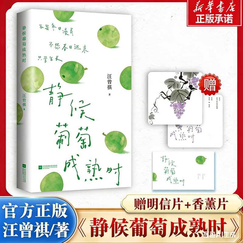 【正版】静候葡萄成熟时 汪曾祺散文精选