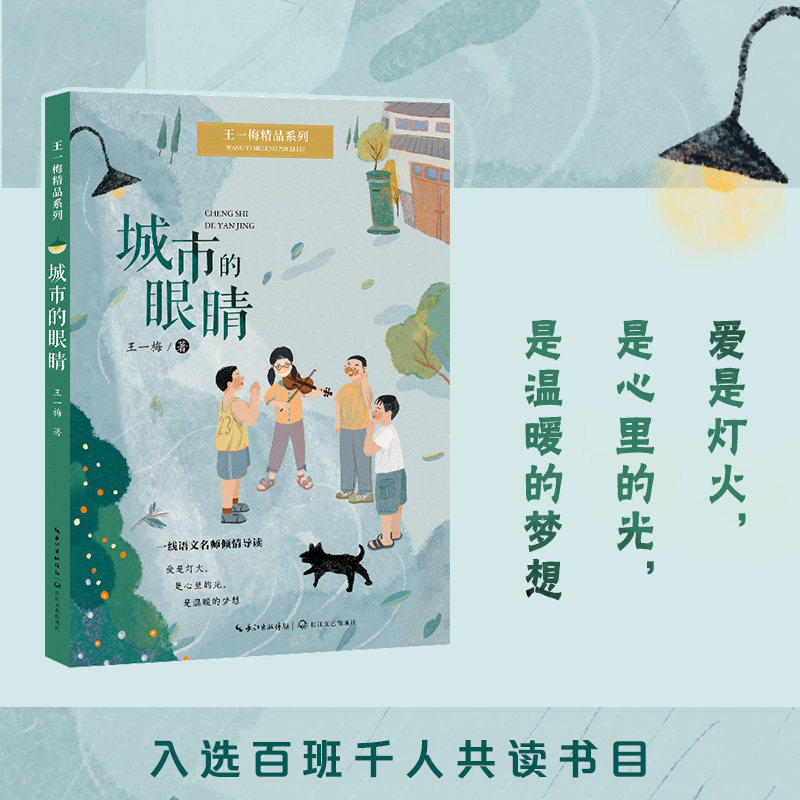 城市的眼睛 城市摄影 人文记录 经典案例 全彩印刷 提升审美 艺术鉴赏 高清图片 建筑美学 深度剖析 文化解读9787570229185