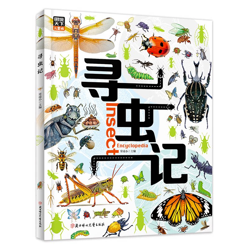 【正版】寻虫记 儿童启蒙 趣味科普 自然观察 手绘插画 生态知识 科学认知 户外探索 昆虫世界 生物图鉴9787558583049