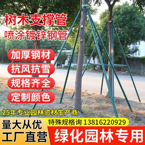 树木支撑架镀锌钢管绿化支撑杆金属大杆防风固定器抱箍支架树撑