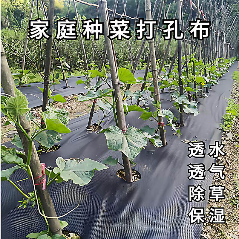 家庭菜园种菜打孔布除草保湿透水透气农用地膜绿色环保可降解地布