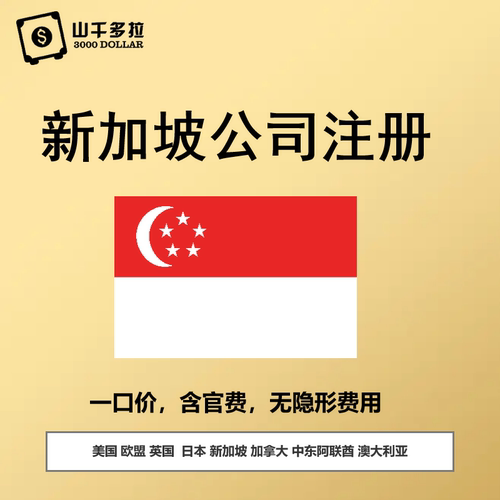 新加坡公司注册美国海外公司企业注册年审变更注销年报企业服务