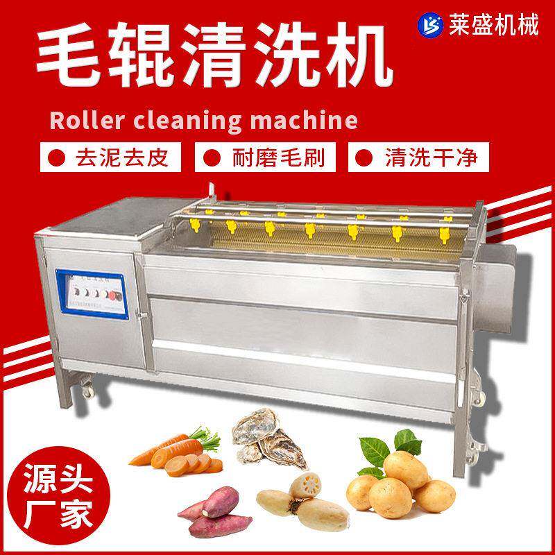 小型土豆清洗去皮机红薯萝卜脱皮设备胡萝卜去泥沙毛辊清洗机