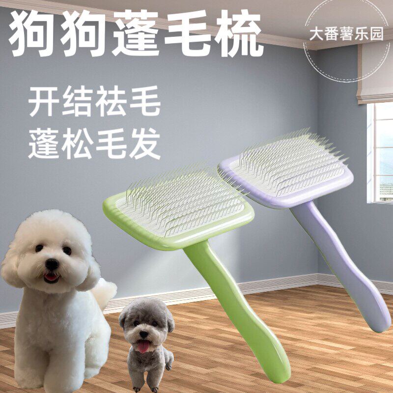 比熊专用梳毛刷子泰迪去