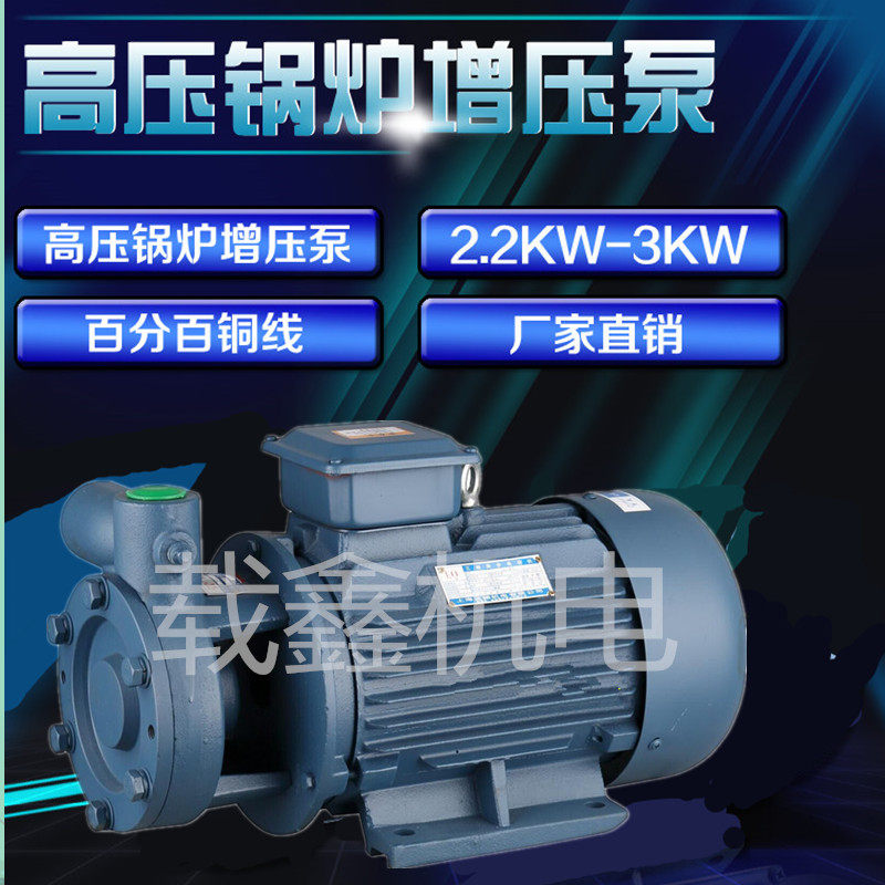W型单级旋涡泵悬臂式漩涡泵增压泵高压泵锅炉给水补水泵三相380V