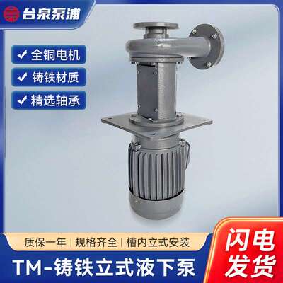 TM-铸铁立式液下泵槽内安装喷淋塔循环泵废气塔水泵厂脱硫塔电镀