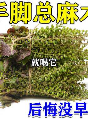 【麻木死对头】手脚麻木特效专用治颈椎压迫神经头晕四肢药麻木茶