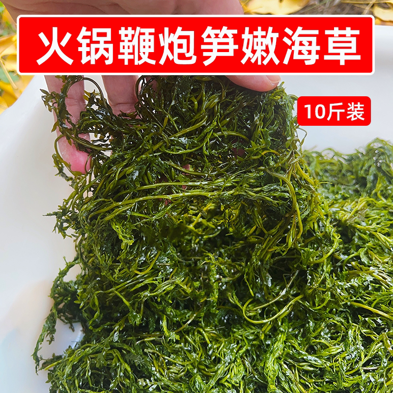 当季新鲜火锅鞭炮笋嫩海草10斤批发马尾藻龙须长寿菜凉拌商用食材
