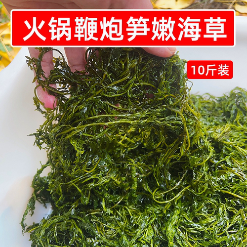 当季新鲜火锅鞭炮笋嫩海草10斤批发马尾藻龙须长寿菜凉拌商用食材