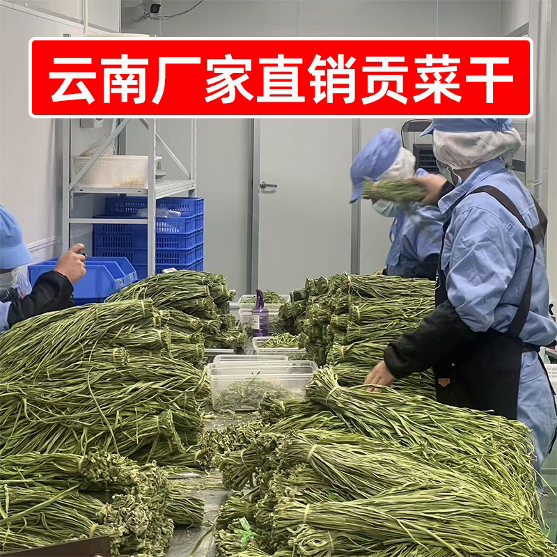 识蜀记云南厂家直销贡菜干商用精选一箱贡菜脱水苔菜辣卤鸭脖食材