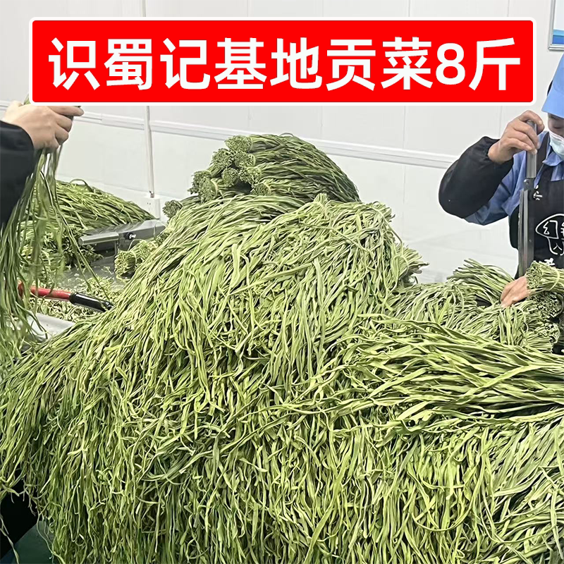 识蜀记基地贡菜直销8斤商用1箱云南大理农家精选贡菜脱水干货食材
