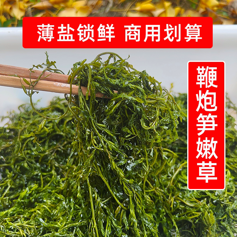 精选少盐鞭炮笋10斤一箱商用脆海草马尾藻龙须长寿菜火锅餐饮食材