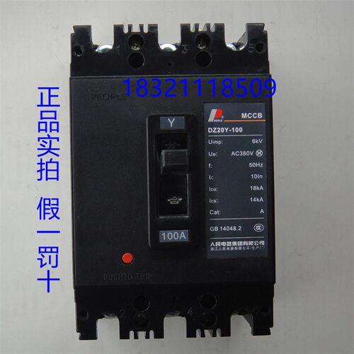 人民电器集团塑料外壳式断路器DZ20Y-100 225 400 630/3300 100A