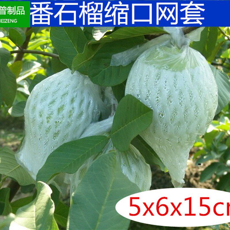芭乐番石榴种植网套袋水果网套一体套袋有耳型防虫防鸟大包更实惠