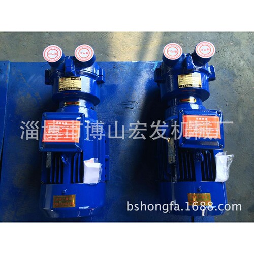 厂家供应 2BV2060不锈钢材质 水环式真空泵