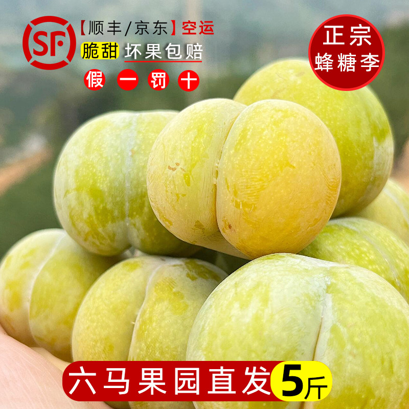 【顺丰空运】特大果蜂糖李5斤装