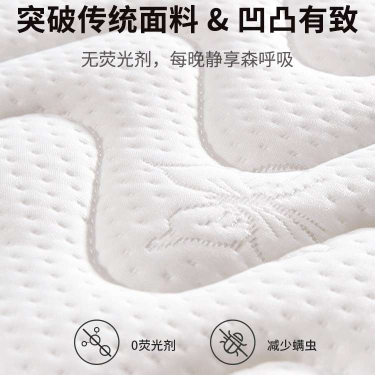 榻榻米床垫子可折叠塌塌米乳胶垫尺寸