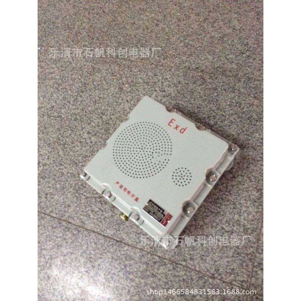 BHY-30W/100V防爆壁挂式音箱 有源防爆扬声器 壁挂式 监控