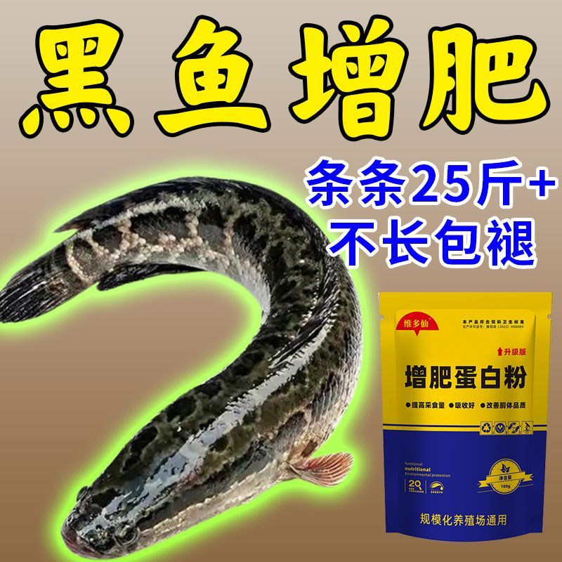 黑鱼专用饲料促长增肥快速出塘