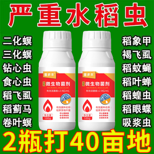 水稻专用高效杀虫剂稻纵卷叶螟二化螟稻飞虱稻蓟马虫钻心虫稻瘟病