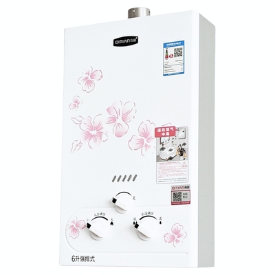 奇田JSQ12-B6升燃气热水器天然气家用强排式液化气铜水箱包邮