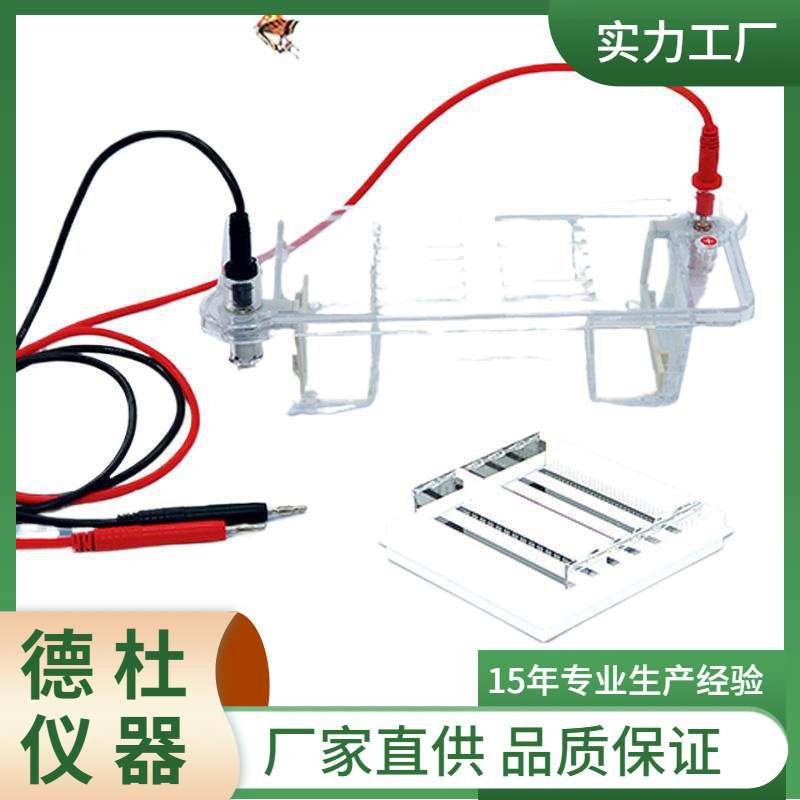 供应DYCP-32B琼脂糖水平电泳仪 电泳槽 核酸电泳仪(中号)