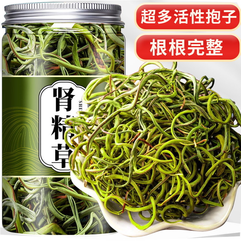 肾精草茶黄金草化石草茶叶泡水喝的新货男士新货花草茶新鲜
