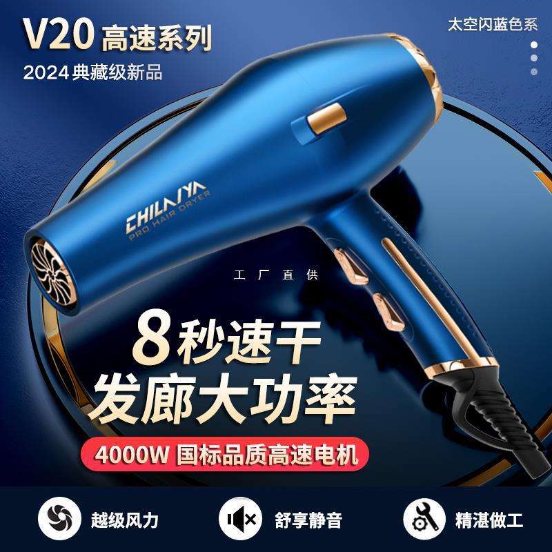 德国电吹风机家用理发店专用大功率负离子护发4000W速干冷热风筒
