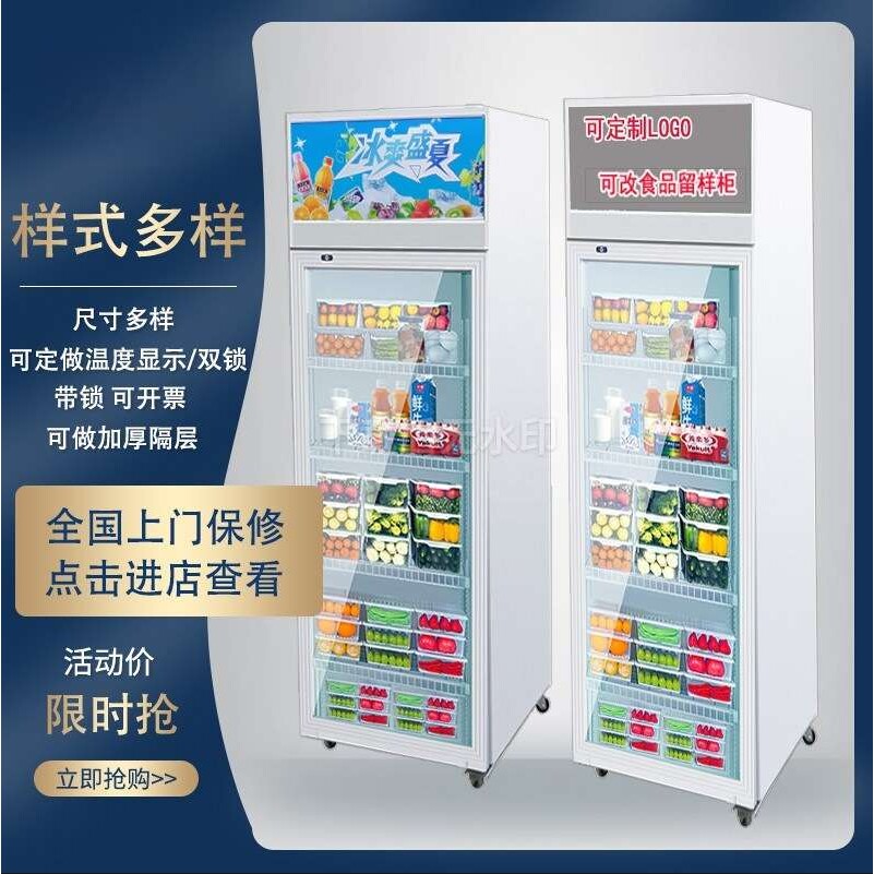 冷藏保鲜幼儿园食品留样柜带锁餐厅食堂家用小冰箱商用展示留样柜