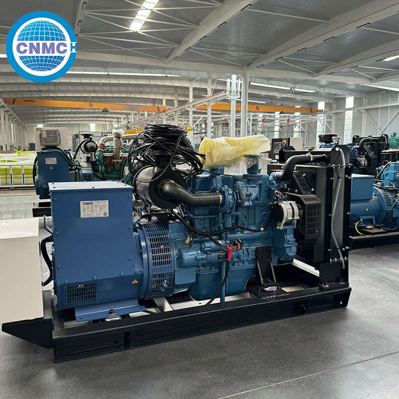 潍柴柴油发电机组 300kw 400kw功率养 殖场工地使用发电机