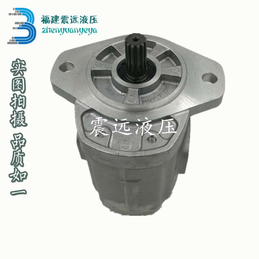 恒溢叉车配件 现代 汉拿叉车齿轮油泵CBF-F432-ALH长轴L