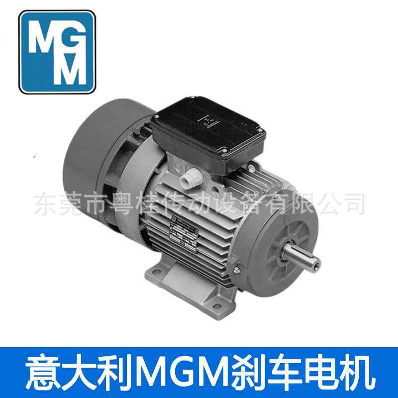 意大利MGM刹车电机 BM刹车电动机 意大利MGM刹车电机