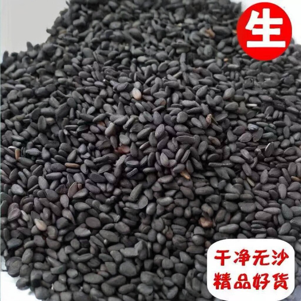 精选黑芝麻生24年新货油麻河南驻马店特产干 干净免饱满洗500g无