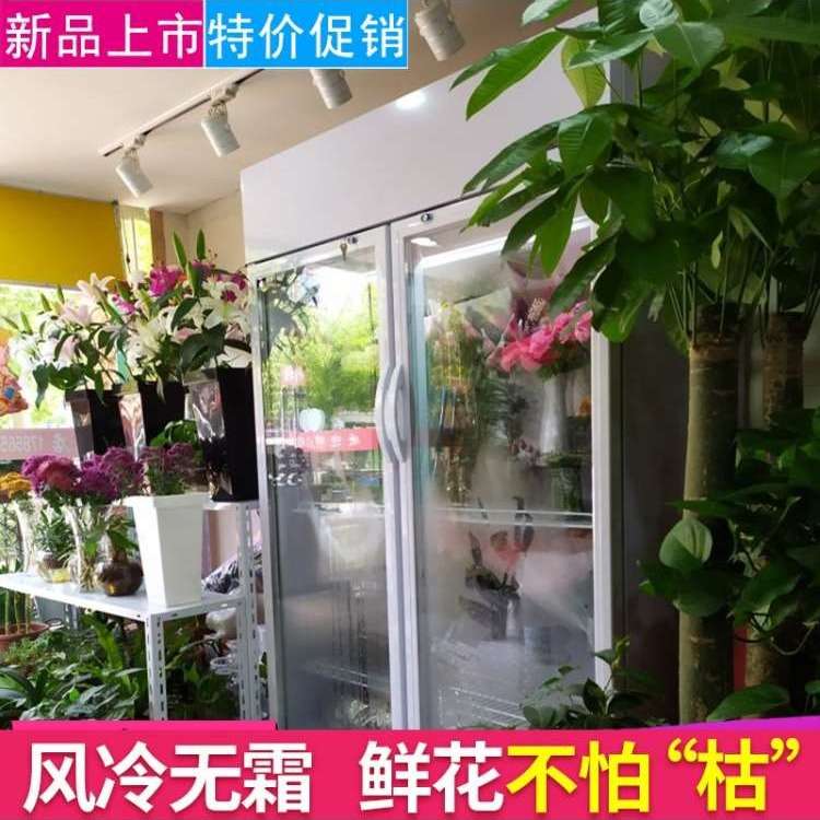 商用保鲜柜新款鲜花保鲜柜冷藏柜展示风冷冰箱花店专用冷柜冰柜