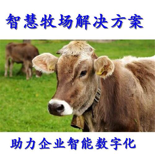 智慧牧场 动物rfid标签智能管理系统可溯源保险动物标识解决方案