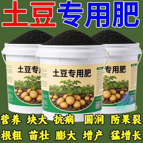 土豆专用肥磷酸二铵营养块大抗病增产根粗苗壮桶装肥料通用型肥料