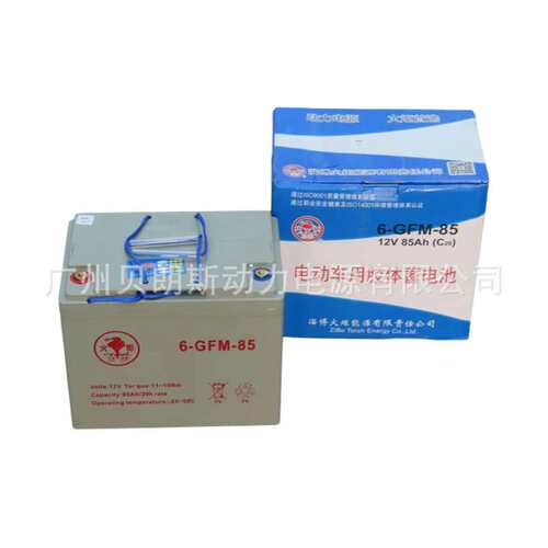 Torch/火炬蓄电池6-GFM-85 12V85Ah 免维护动力电池  全国联保