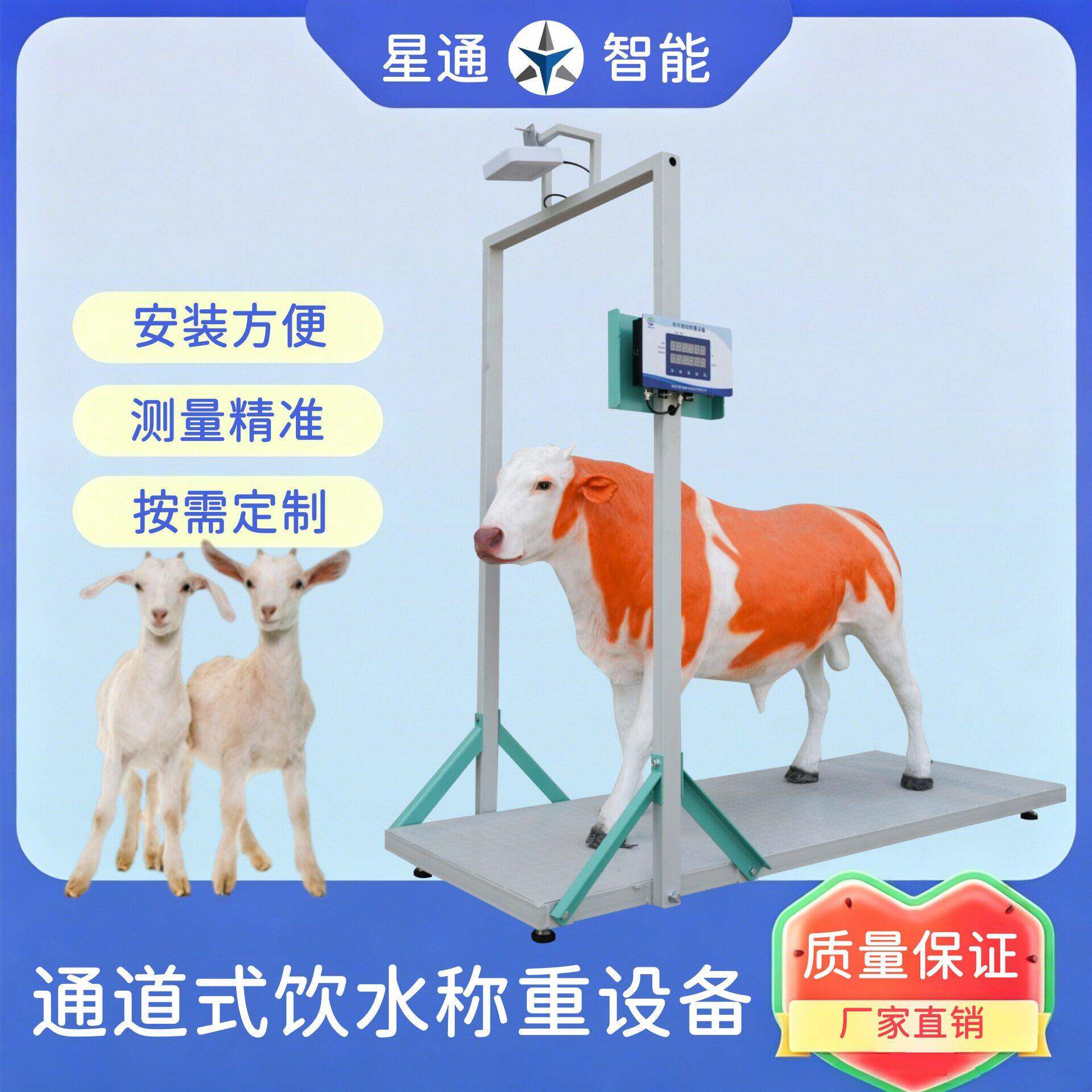 通道式牛羊饮水称重设备规模化牧场牛羊活体自动称重饮水通道