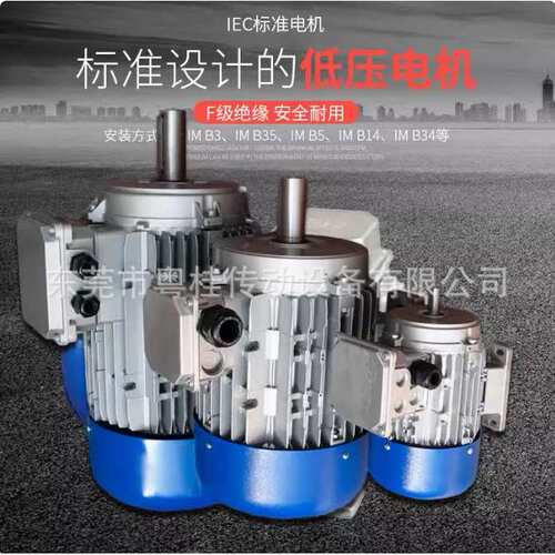意大利MT刹车电机 意大利MT制动马达 TF80B5 0.75KW直流刹车马达